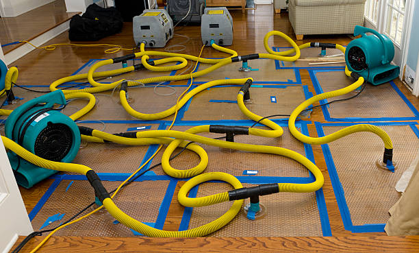 Professional Water Extraction technician working in Sussex, NJ